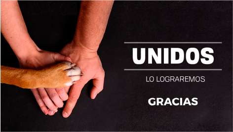 imagen con manos de una familia y pata de un perro adoptado gracias a Fundación Antonio Haghenbeck