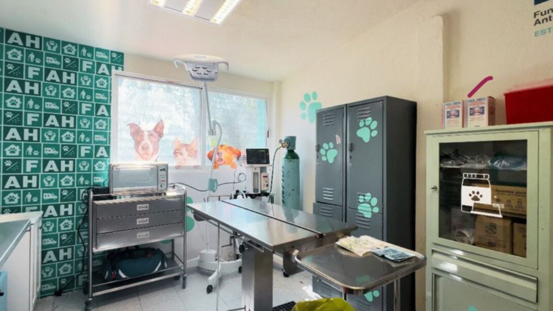 conoce el nuevo centro de esterilización en CDMX de Fundación Antonio Haghenbeck