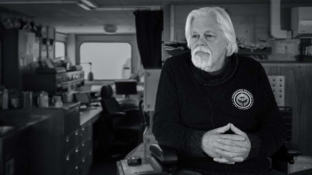 El pasado 21 de julio, el Capitán Paul Watson fue arrestado en Groenlandia.