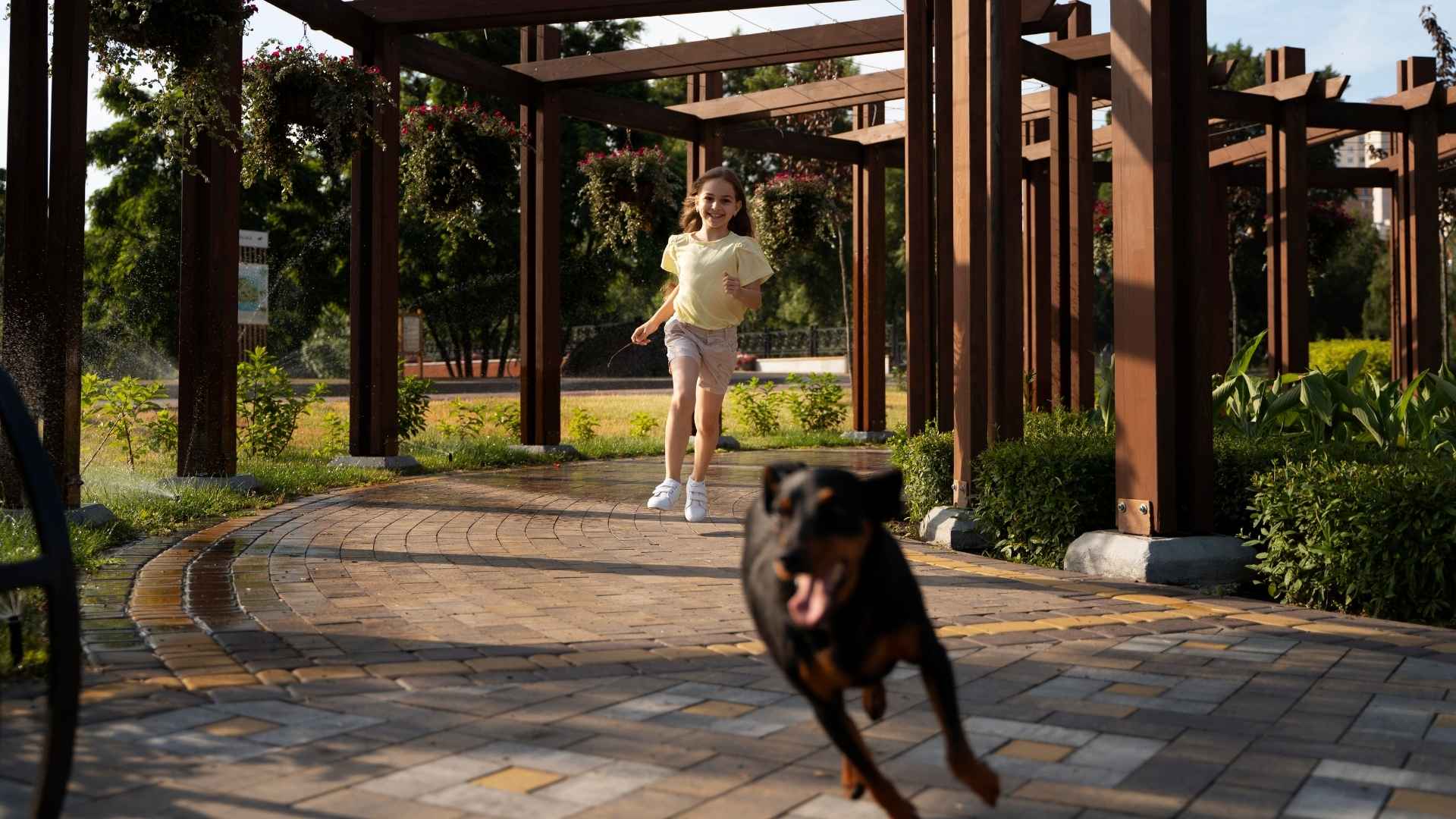 Conoce los mejores parques para perros en CDMX.