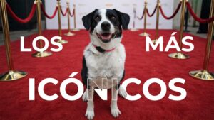 Los-más-icónicos